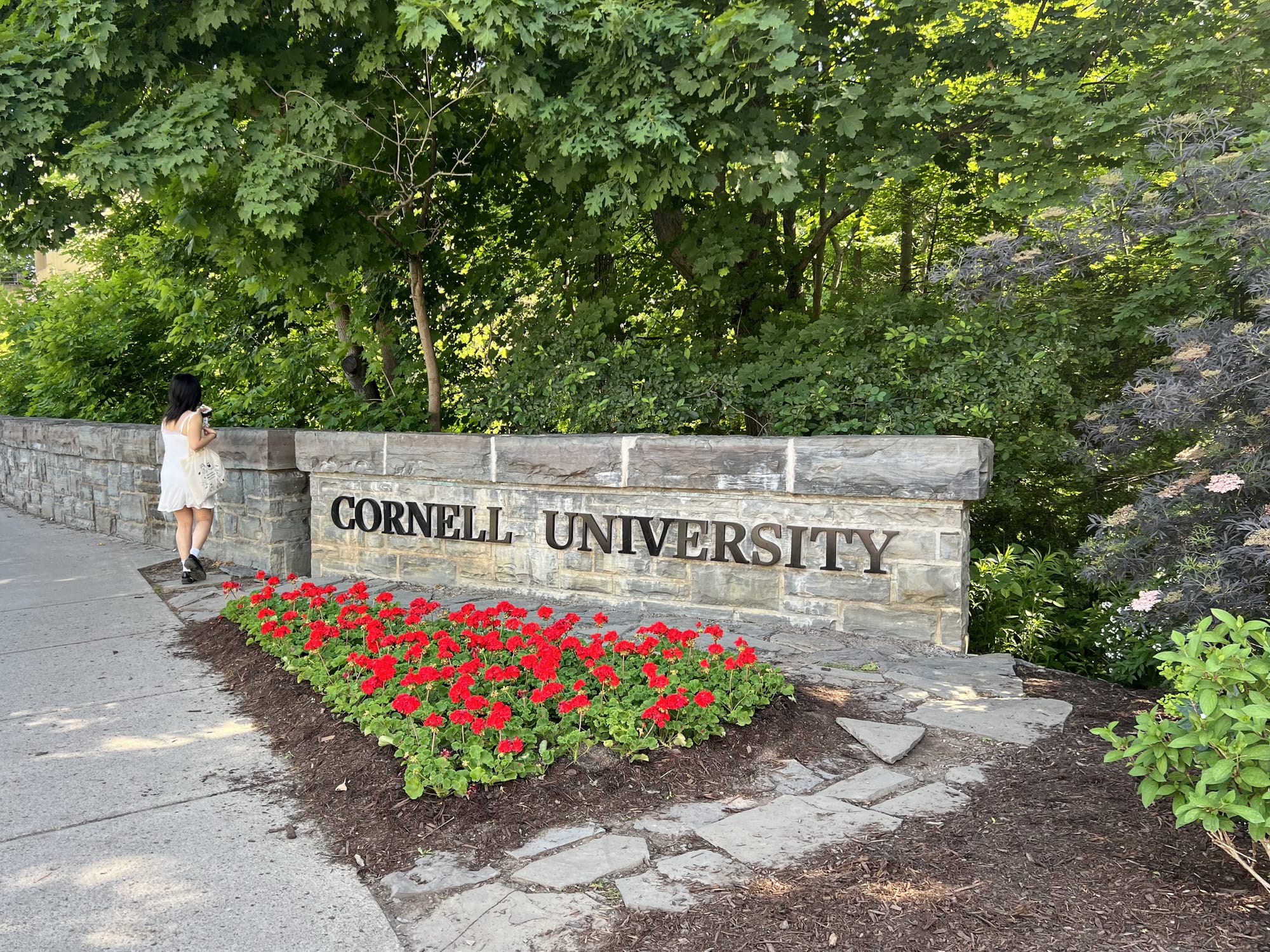 A grey brick like low wall cut off on the write with the "Cornell University" written across it. A woman in a short wide dress, black hair and shoes is on the left side of the wall with her back to the camera. There a bed of red flowers in front of the sign and a lush green outgrowth behind it.